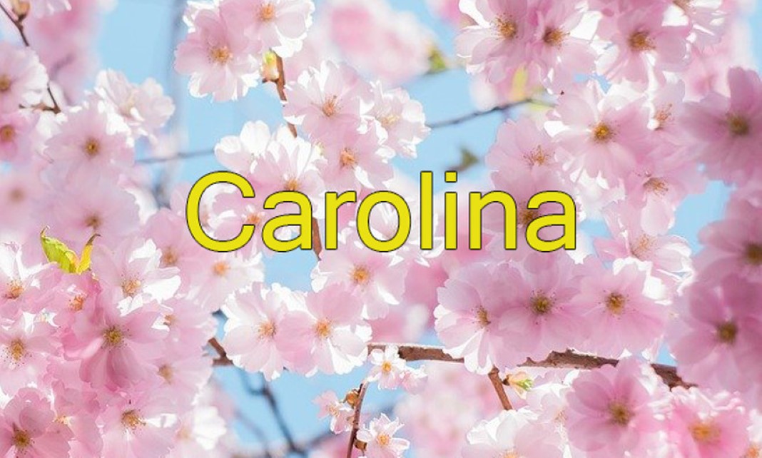 Tens uma Carolina na tua vida